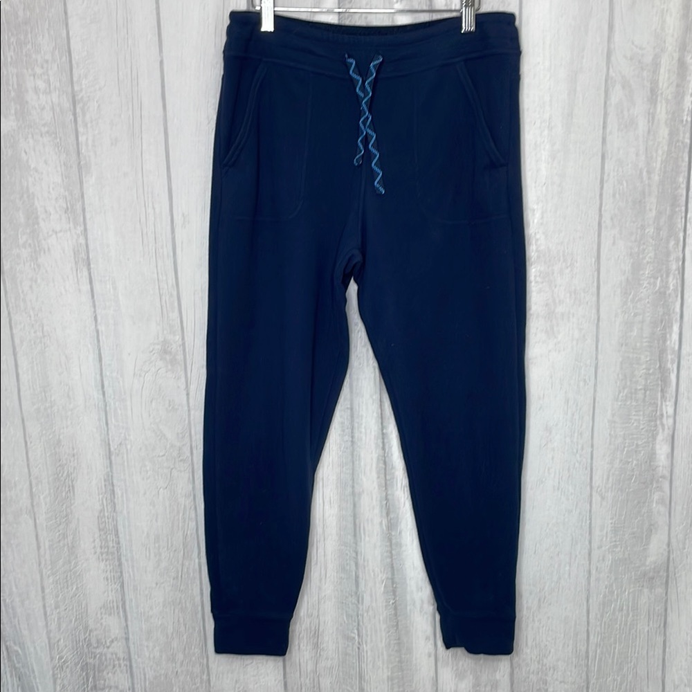 Patagonia Snap T fleece Jogger Pants.